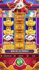 rt9 · Fortune Rabbit